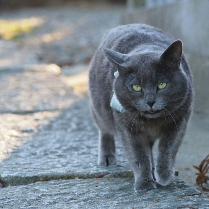 28938835 48bb 42d5 8eb7 7a2651b78a10 1521974547062