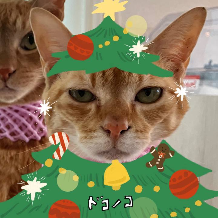 2893d03e 0e29 42d7 b4a6 25b9a64fb247 1761098915033