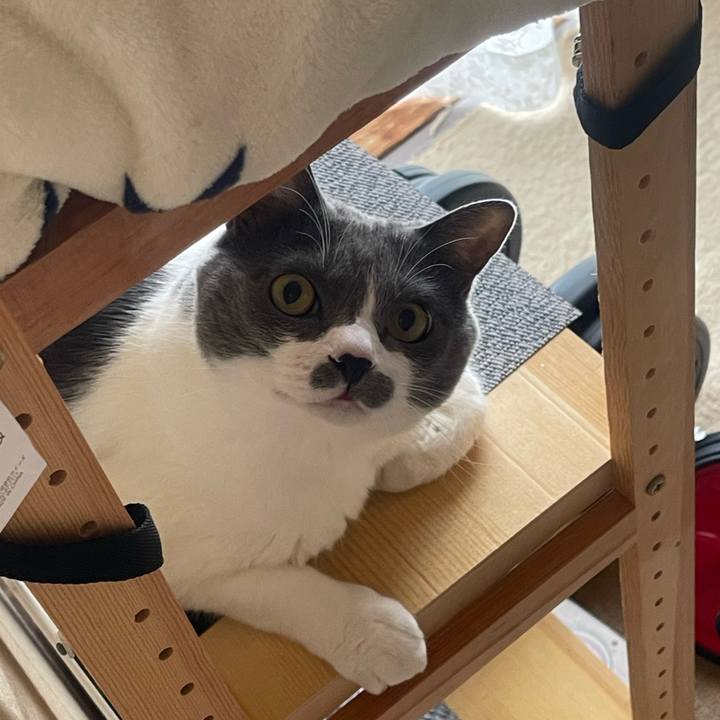 28942a87 351c 40bc bc7b 71767acb4862 1750808362279