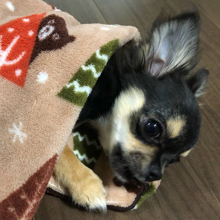 28943eae 8021 47e5 8dac 72176ce63eb8 1538690464615