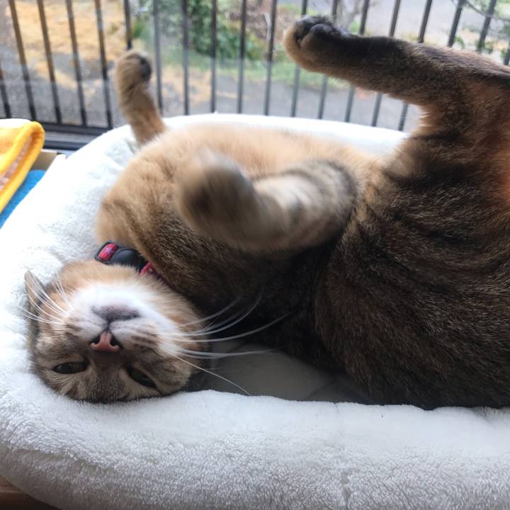 28945608 66d9 4fa8 a0ac 6744e53a40c7 1579832404737