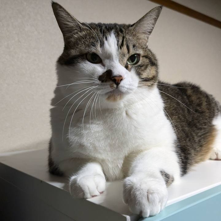 28948e33 0f0d 4b12 9eca 3651da06c310 1731145052436