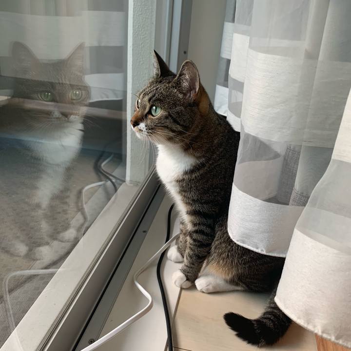 2894e931 a4c4 4525 b9b4 74d2c973f201 1594132231270