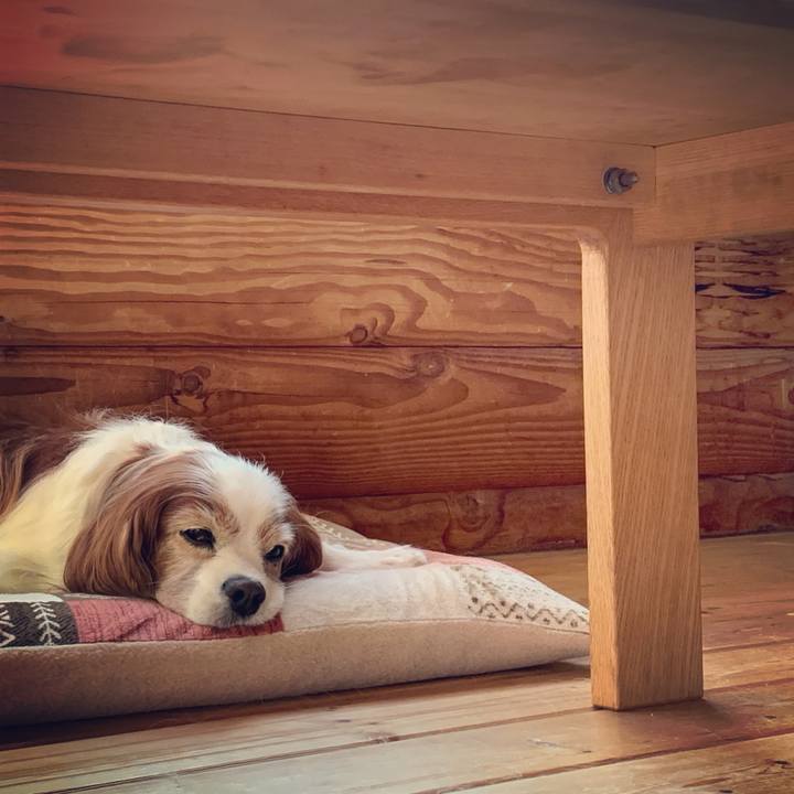 289515ea ad47 449d 80ff f9b024864f9c 1604384600634