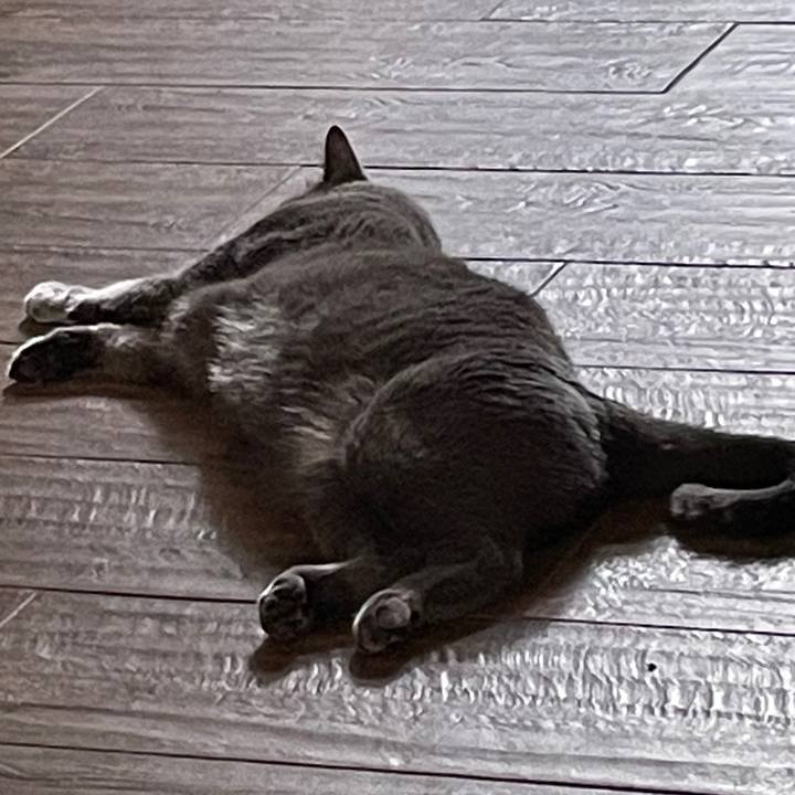 289599c6 a210 451a 9515 29aa31e17ed7 1695344318391