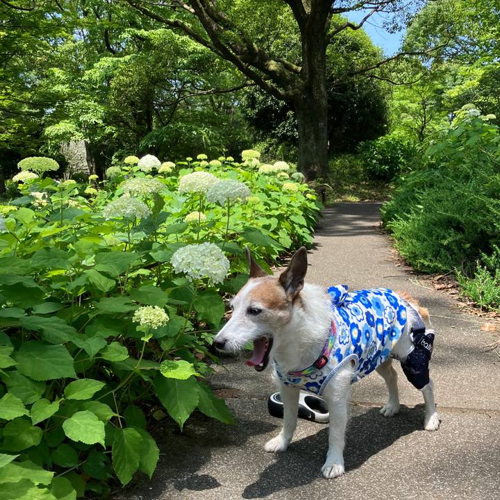 2895a618 b075 483c aab7 908d6af75d76 1718061624781