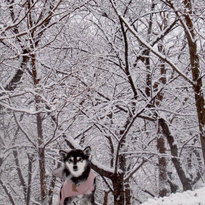 2895a6ff 6c01 47f6 886c dfb86846d015 1639872949294