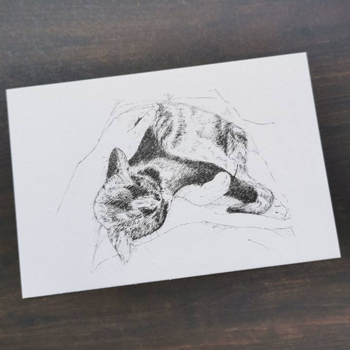 2895b189 c9b8 4b0f 80c7 73220159b6c8 1656324526156