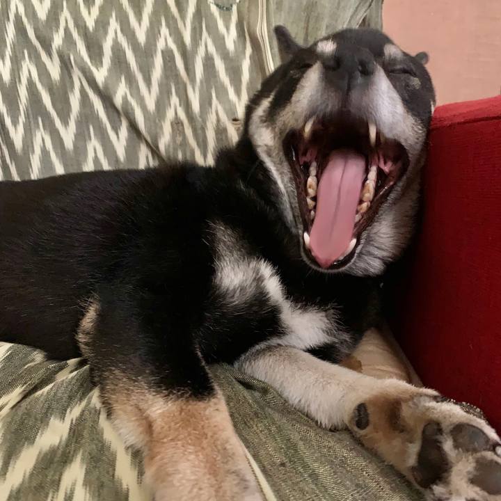 2895c3a5 6064 4b4f 9fac 1edc65f50a86 1593879542752