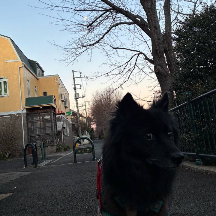 2895e09e 8fa6 4a43 ad2a 8fddbe14f40d 1767656981620