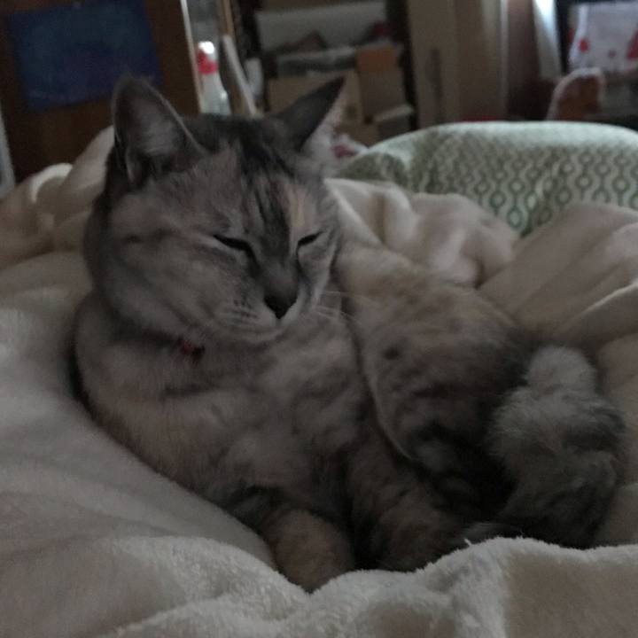 28960242 e788 4a63 b756 9fcde7c94387 1552425444916