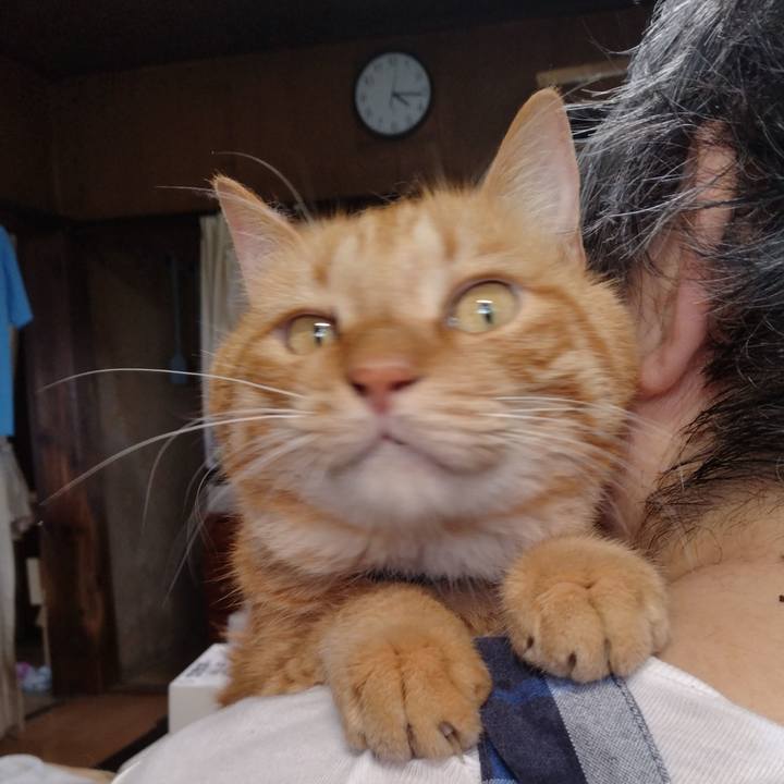 28962f92 3229 412b 8a50 a0689889e310 1721382518286