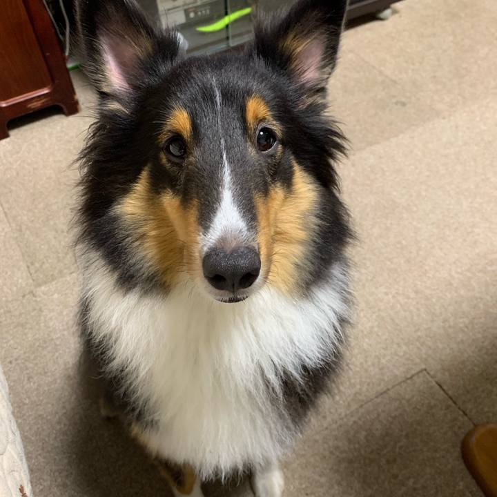 28962fdf 4104 4d17 bd52 41e5d74c786e 1568456845088