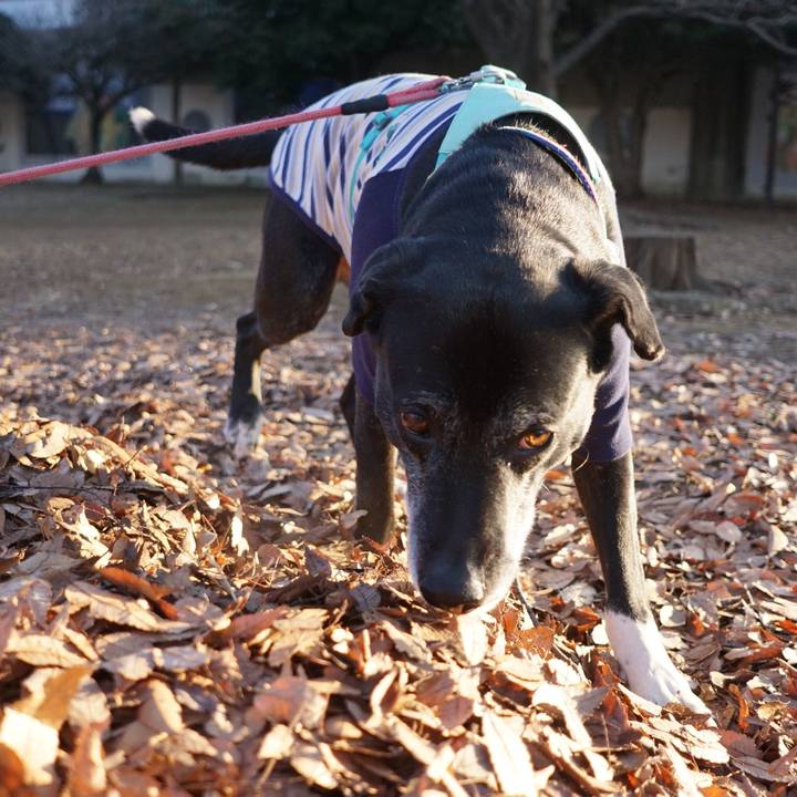 28964475 8d74 4a86 b336 5fbd19cc7276 1769993385155