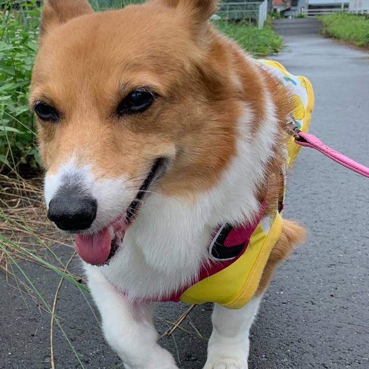 28964c02 d86c 4164 90e6 d117b0e05a11 1721012624606