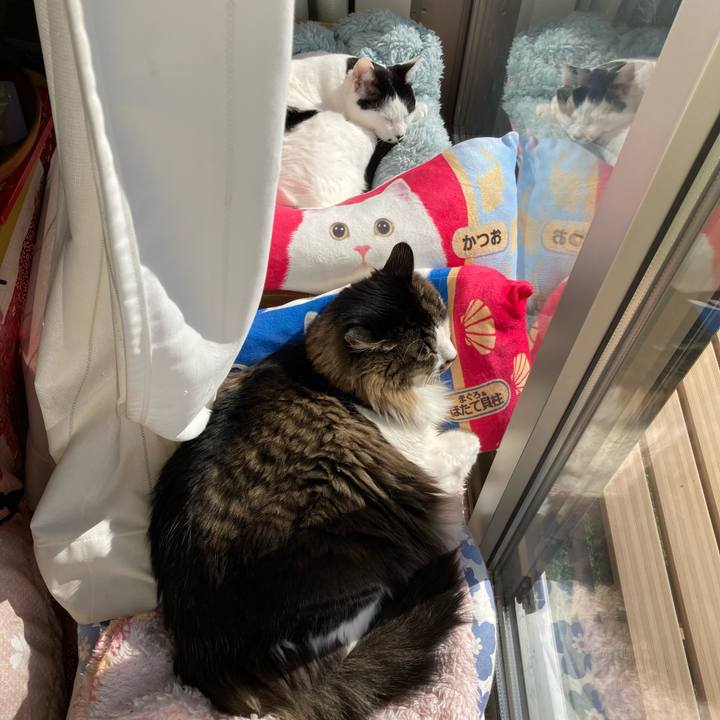 289655c4 b3a4 43af 9fa9 75fc7b3bda7f 1769916842023