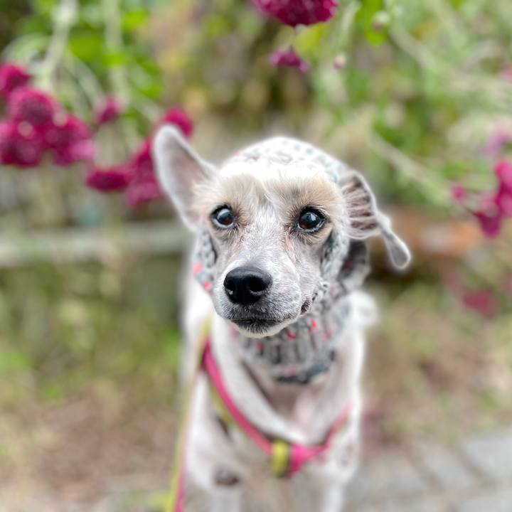 28968849 4009 4515 af81 90582c80a628 1763023886919