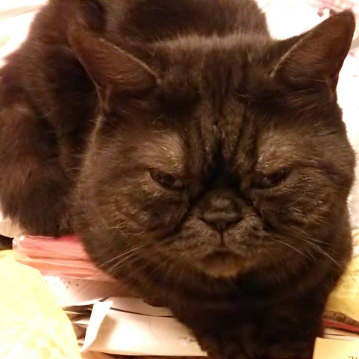 28968f78 4b63 4bad a6c3 17bbc2d81a54 1537617655074