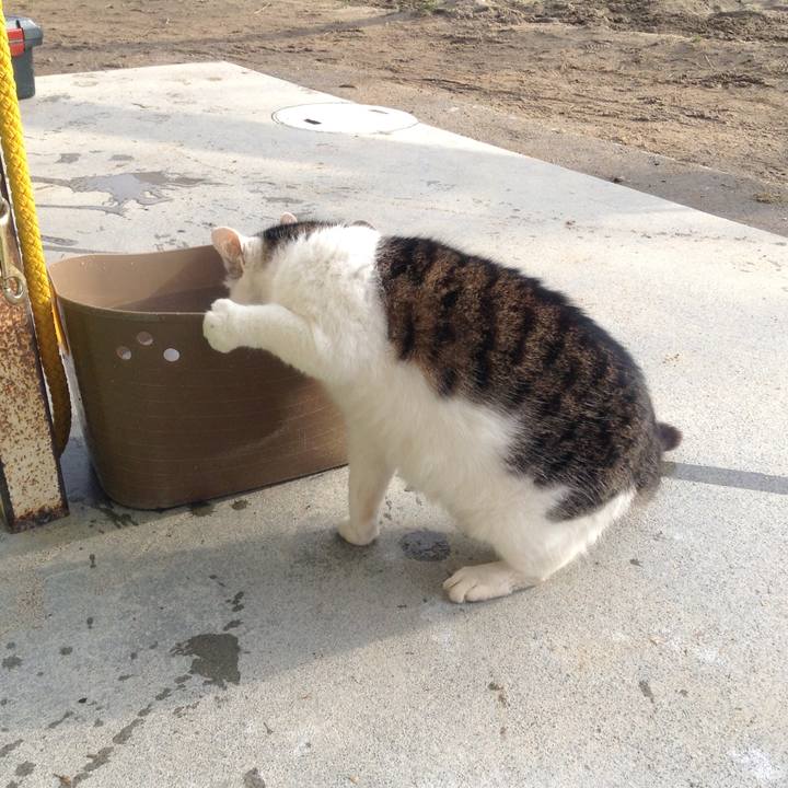 2896cb0a 05da 4b75 a621 4603cc3a00fa 1549795324306