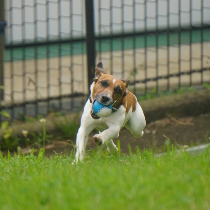 2896d08c a3f9 4f6e b7b2 e1ff1a93efb9 1562280878986