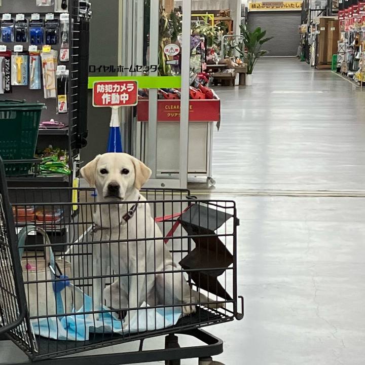 2896d84f 51c4 46c2 ba5a 569b8a102d2c 1670826672017