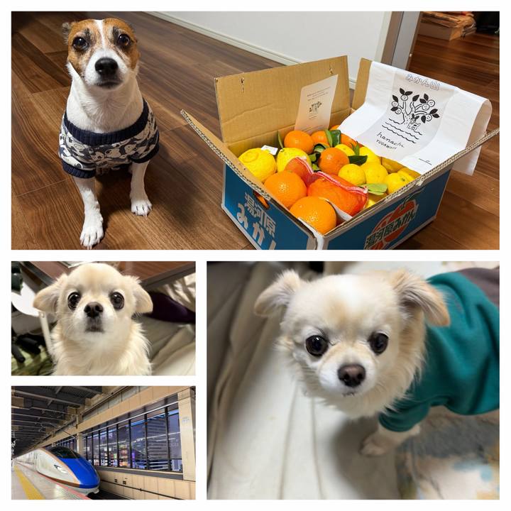 2896e083 991f 43bf 93ff f0cee4afd20b 1772280967833