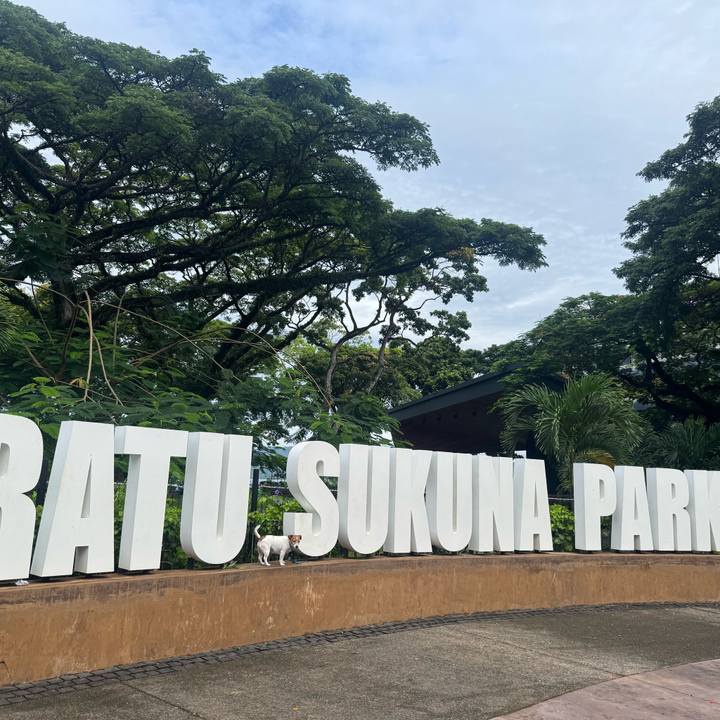 2896e6b2 948c 401d a42b d9f77a30e06a 1770520767504