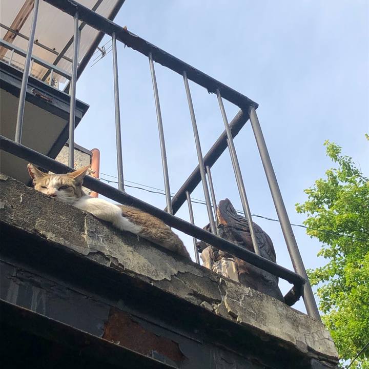 2896f52d 39ec 4556 a7c9 59fbe4f7f011 1590479544244