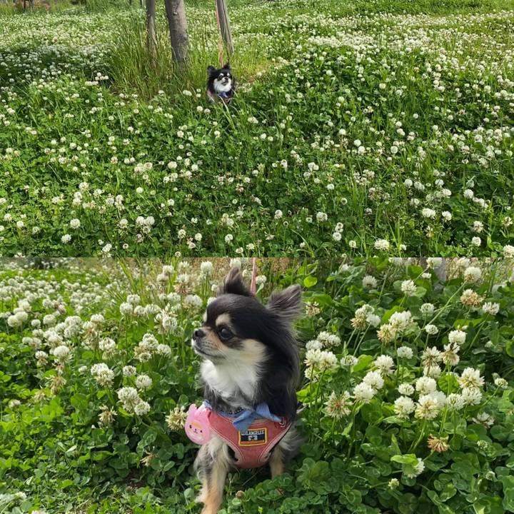 2896fd52 556a 47e3 98e9 63758a6064e0 1619264007820