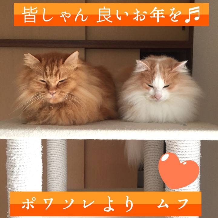 289717ba a69c 4274 9ecb c6276831b2f5 1546132643069