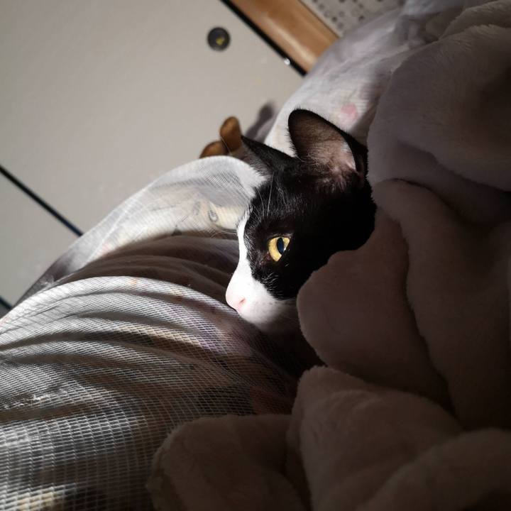 28971d83 e8f5 4141 acf2 f7044a921cb6 1651555250980