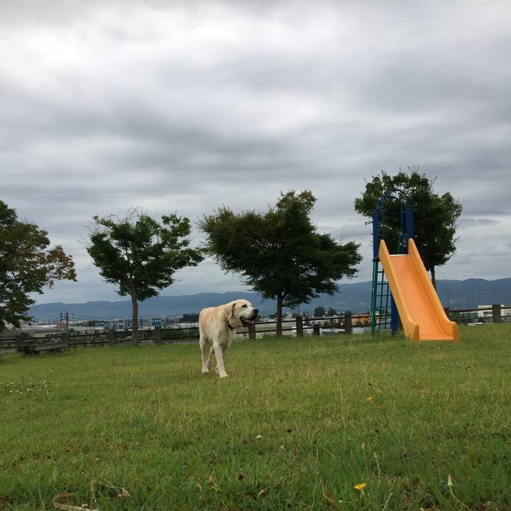 28972e25 259e 4f32 a158 f2a0e3d31b50 1531431696866