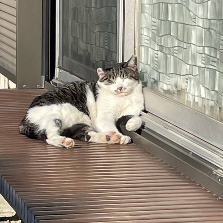 28973784 967c 4af0 96b8 4d789cdd2804 1633136946026