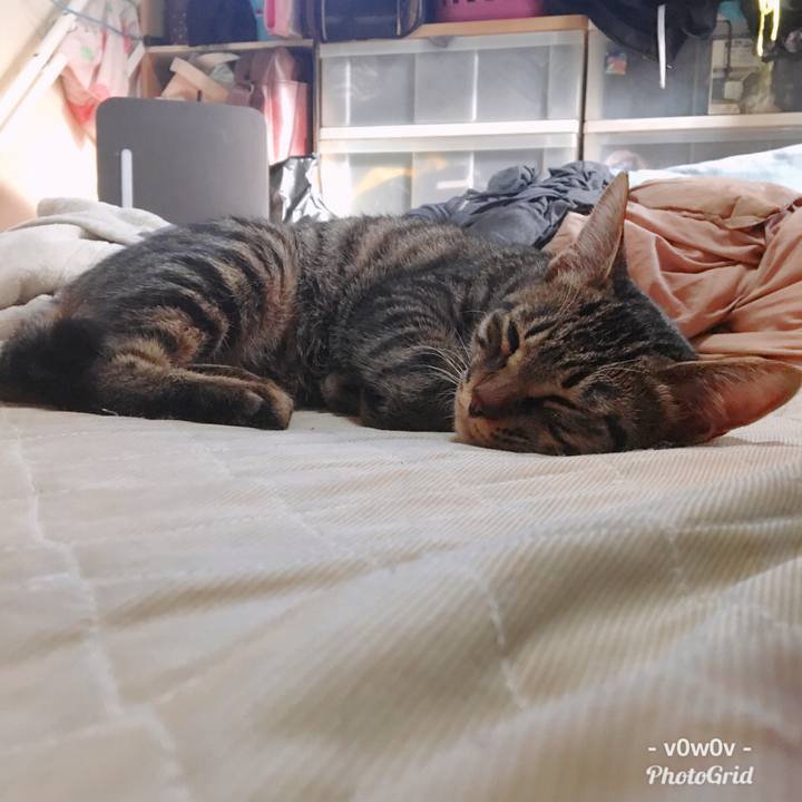 28973fb6 cc4a 4fcb 8f25 810d95eb149d 1544244634597