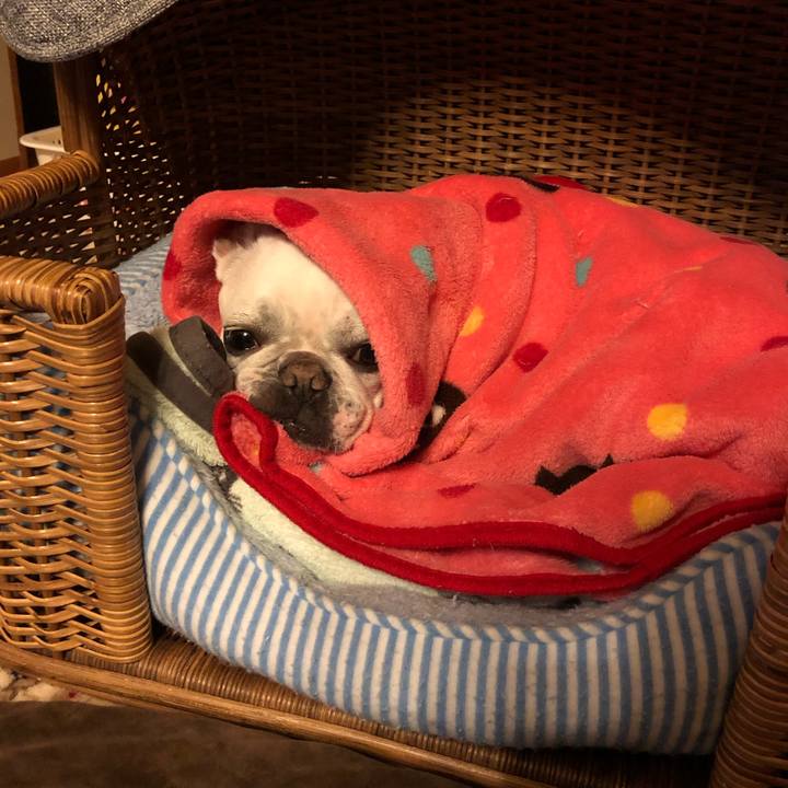 28975074 2d91 4258 ad94 3ad71bb6e741 1580032043602