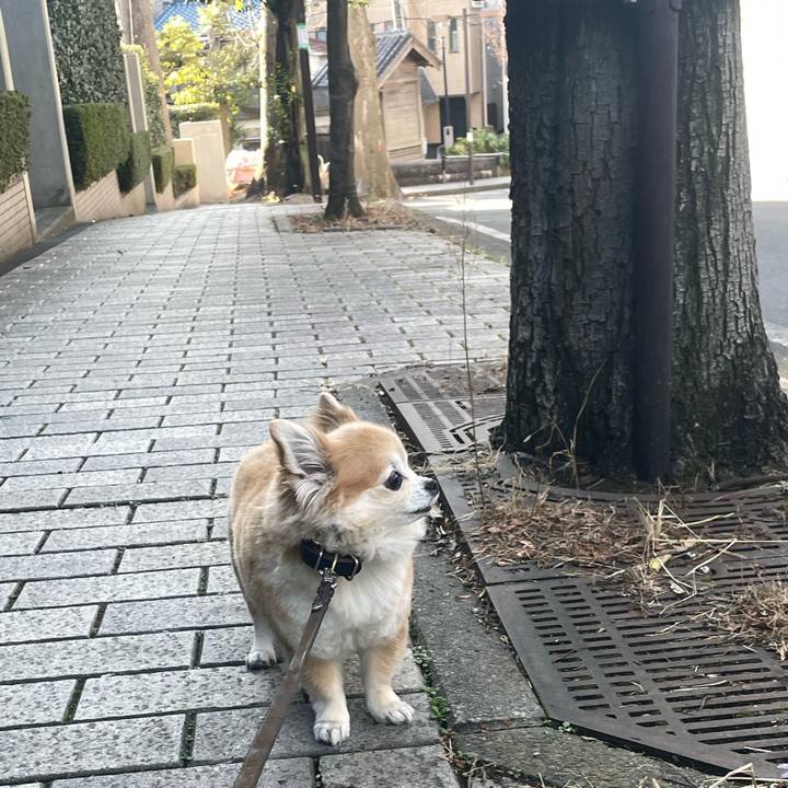 289763c1 a57d 4bd3 9ec5 4b5b9c22ce97 1772340228490