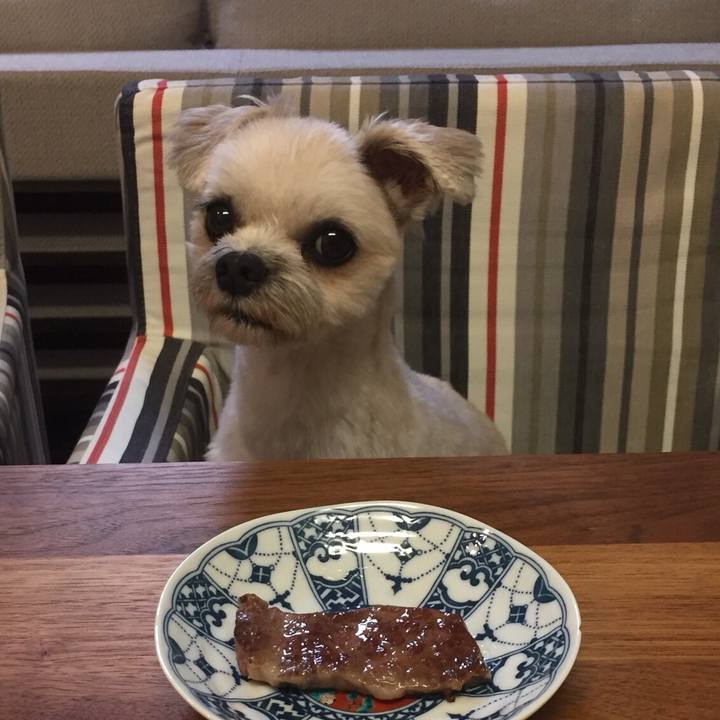 28978303 814c 4600 9660 74e2c9c14e50 1534764126288