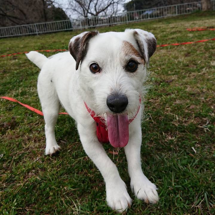 2897994b be86 4e0e b7b6 f37ac4a0546f 1520811631585