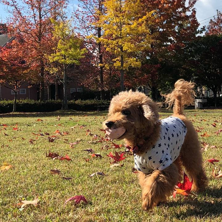 2897cb97 a739 4e47 b5b0 1d0abdcaa30b 1603942828555