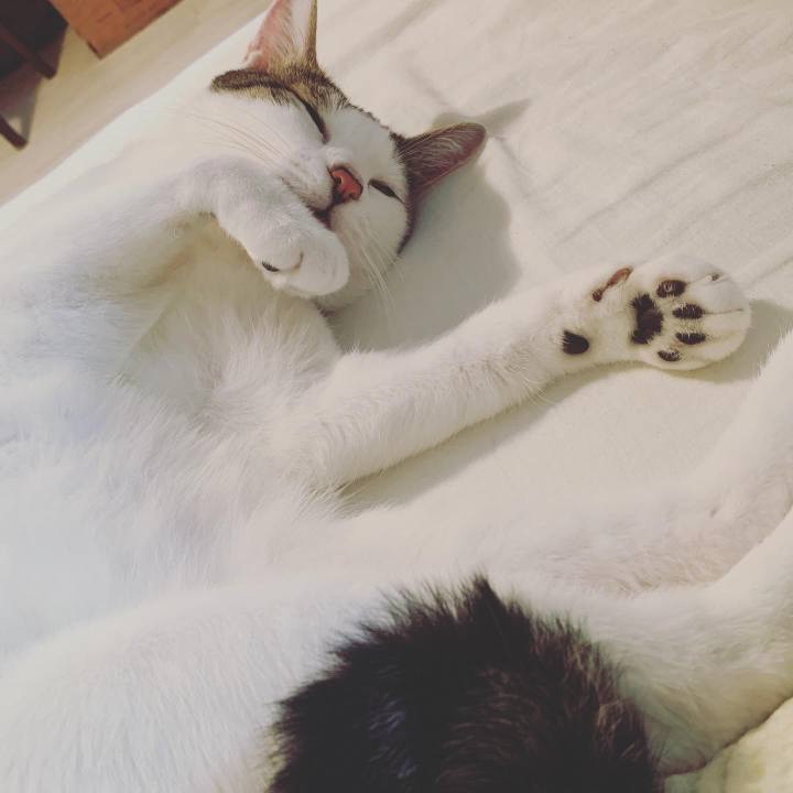 2897e067 569c 4e67 a971 c62d71d8cf22 1568694698710