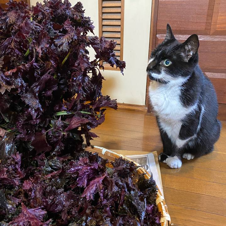 28980aa5 213d 404b 99d6 a535eedecbc0 1687664299400