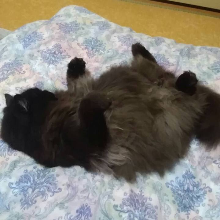 28981954 33e8 4f8e 8b36 cdeb5b1fe915 1522283258650