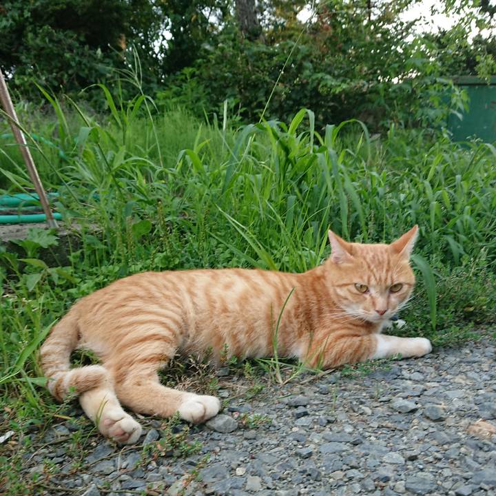 28983382 4515 4207 b89c f74883ae37c0 1564653139632