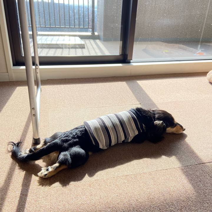 2898365d 49df 4466 92f3 89113c12173b 1674529894904