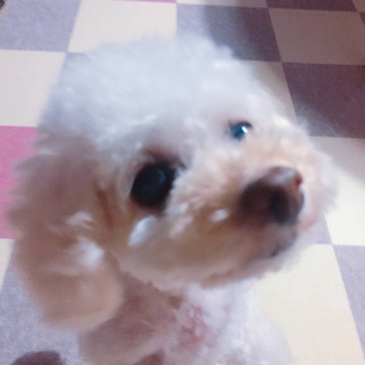 289840ca a3ec 496c ae17 7e8780193a19 1532265999239