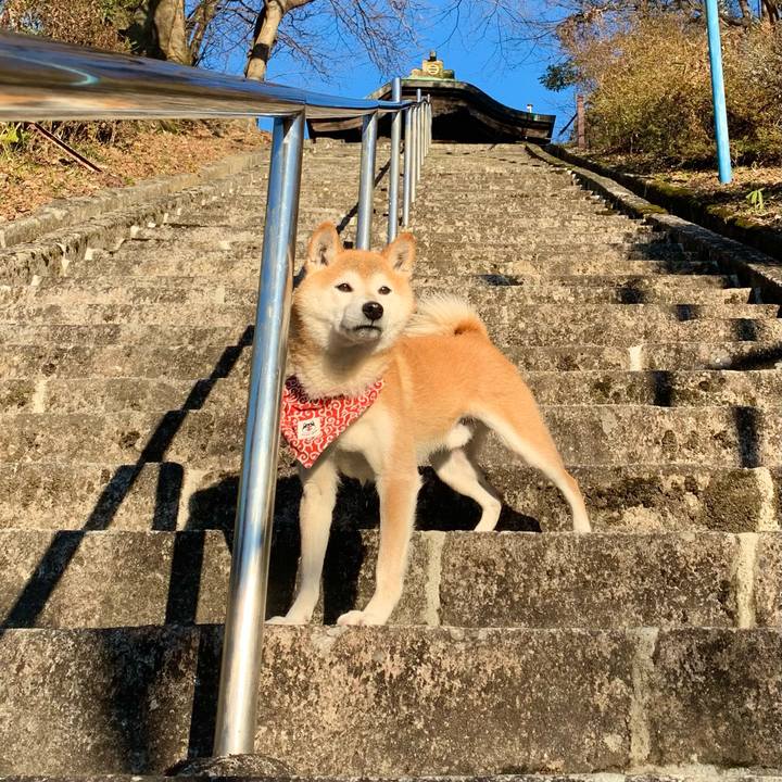 28989c3a 5e1e 493b 96c9 d939195420bb 1642679833638