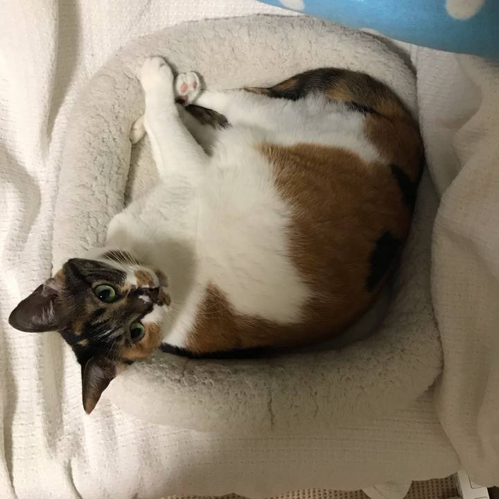 2898c425 4afb 4020 8d9f b38c9696dc2e 1565089817023