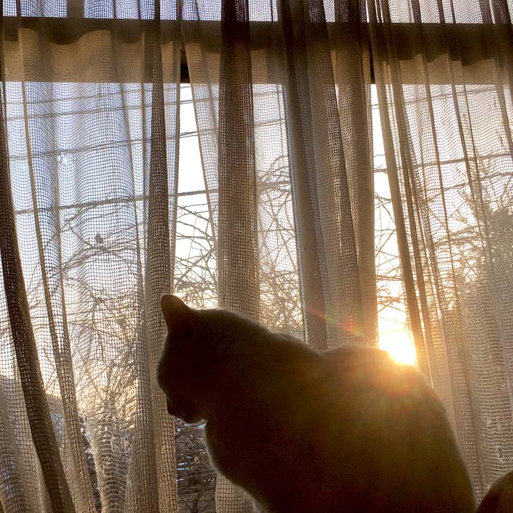 2898c590 a865 4978 9606 981c38104b24 1578971999619