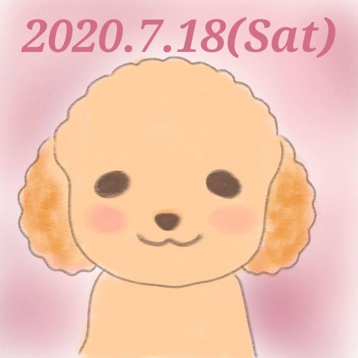 2898e9a6 1b52 468e a5e6 95ff5c8ead62 1595082921566