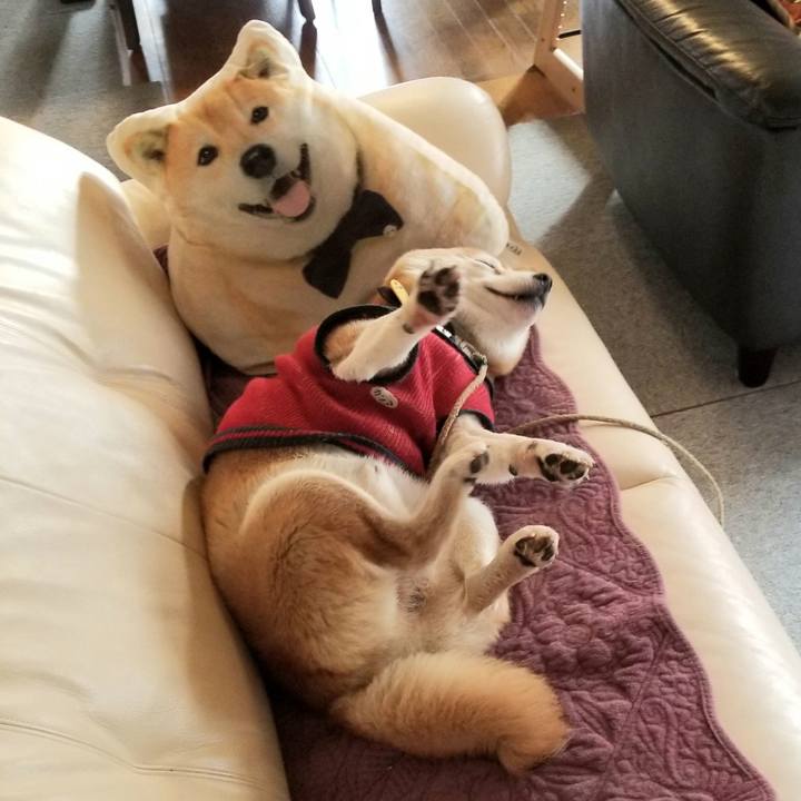 289917c6 72c2 4502 9661 c99ac93045a5 1607040105004